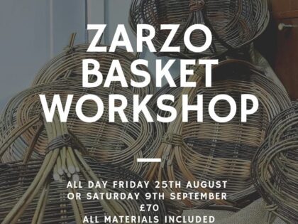 Zarzo Basket Workshop
